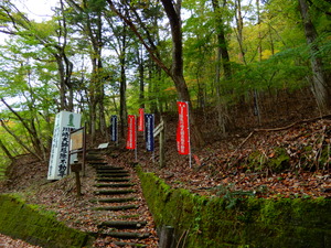 DSCN9420