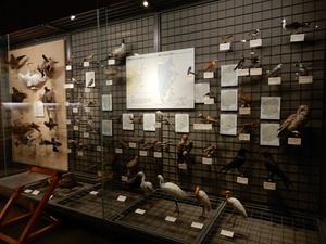 DSCN0611