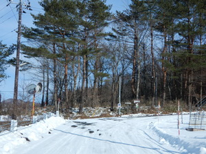 DSCN0247