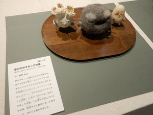 DSCN0973
