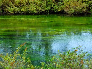 DSCN9914