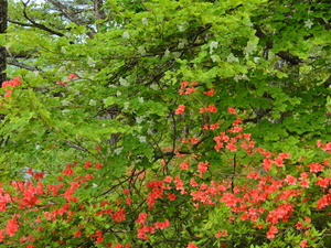 DSCN0174