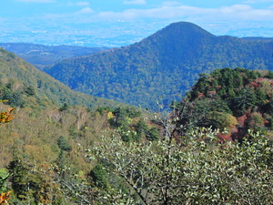 DSCN9414