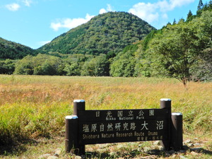 DSCN9790