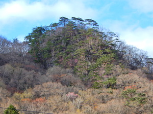 DSCN9845