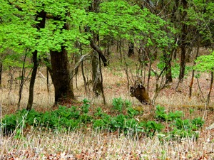 DSCN0730