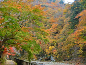 DSCN0409
