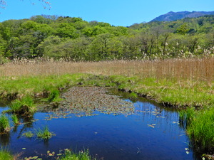 DSCN0411