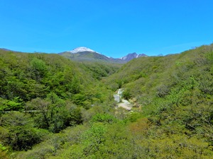 DSCN9590