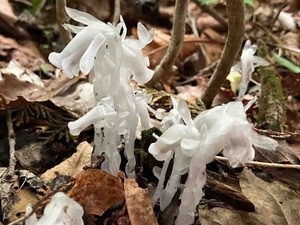 IMG_0024