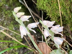 IMG_1925