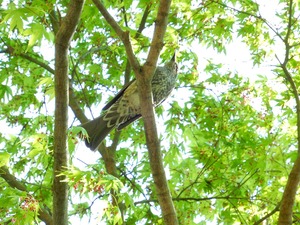 DSCN8189