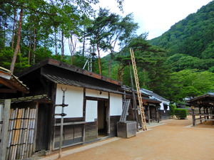 DSCN9763