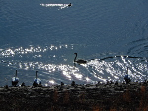 DSCN0084