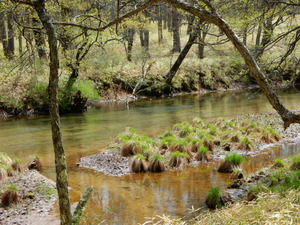 DSCN0659