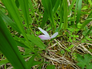 DSCN0204