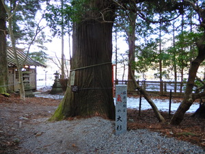 DSCN0339