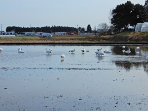 DSCN0098