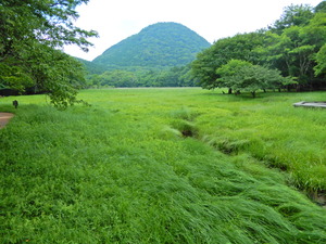 DSCN9652
