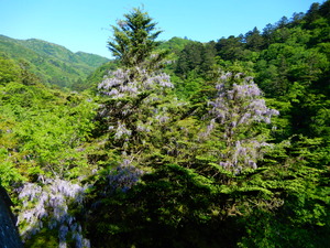 DSCN9917