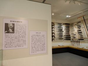DSCN0954