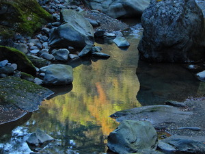 DSCN0192