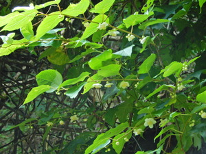 DSCN0226
