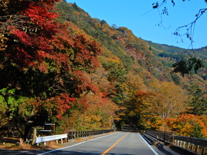 DSCN0206