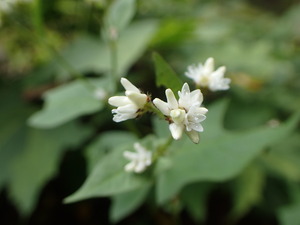 P9281234