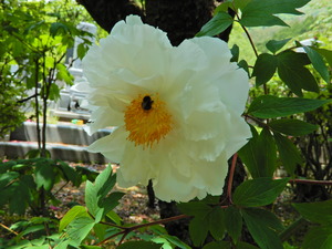DSCN9323