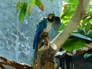 DSCN0867