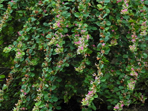 DSCN0749
