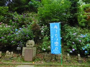 DSCN7606