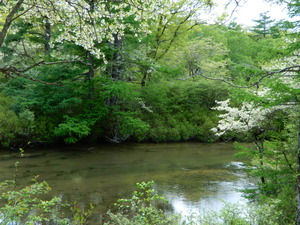 DSCN1780