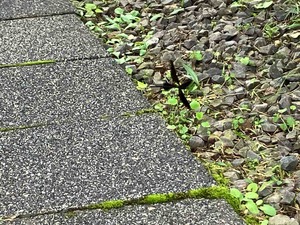 IMG_1840