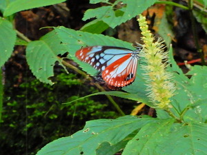 DSCN9756