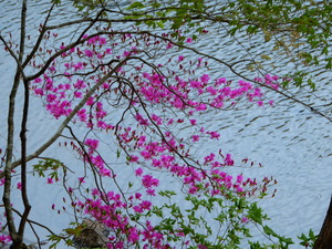 DSCN9817