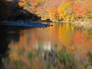 DSCN0231
