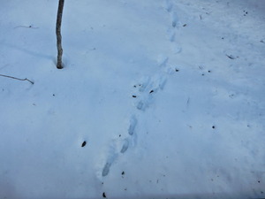 DSCN0076