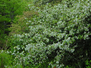 DSCN9567