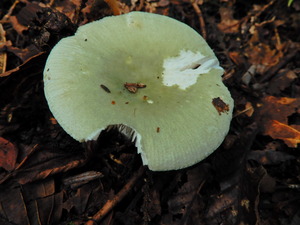 DSCN1069