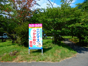 DSCN9437