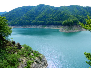 DSCN9981