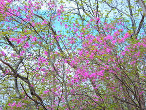 DSCN0043