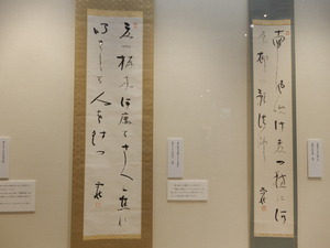DSCN0987