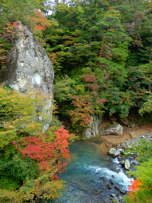 DSCN9491