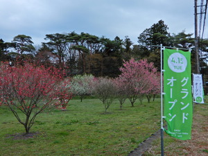 DSCN9772