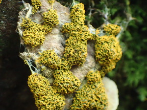 P8224158