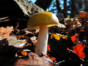 DSCN9349