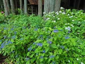 DSCN0189
